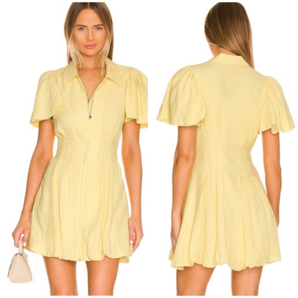 Jonathan Simkhai Callista Crinkle Utility Puff Sleeve Mini Dress in Chamonille